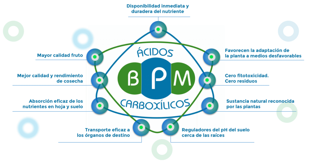 imagen atomos carbotecnia